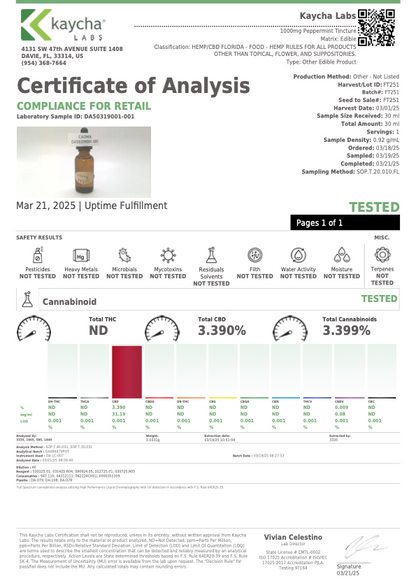 CBD Oil